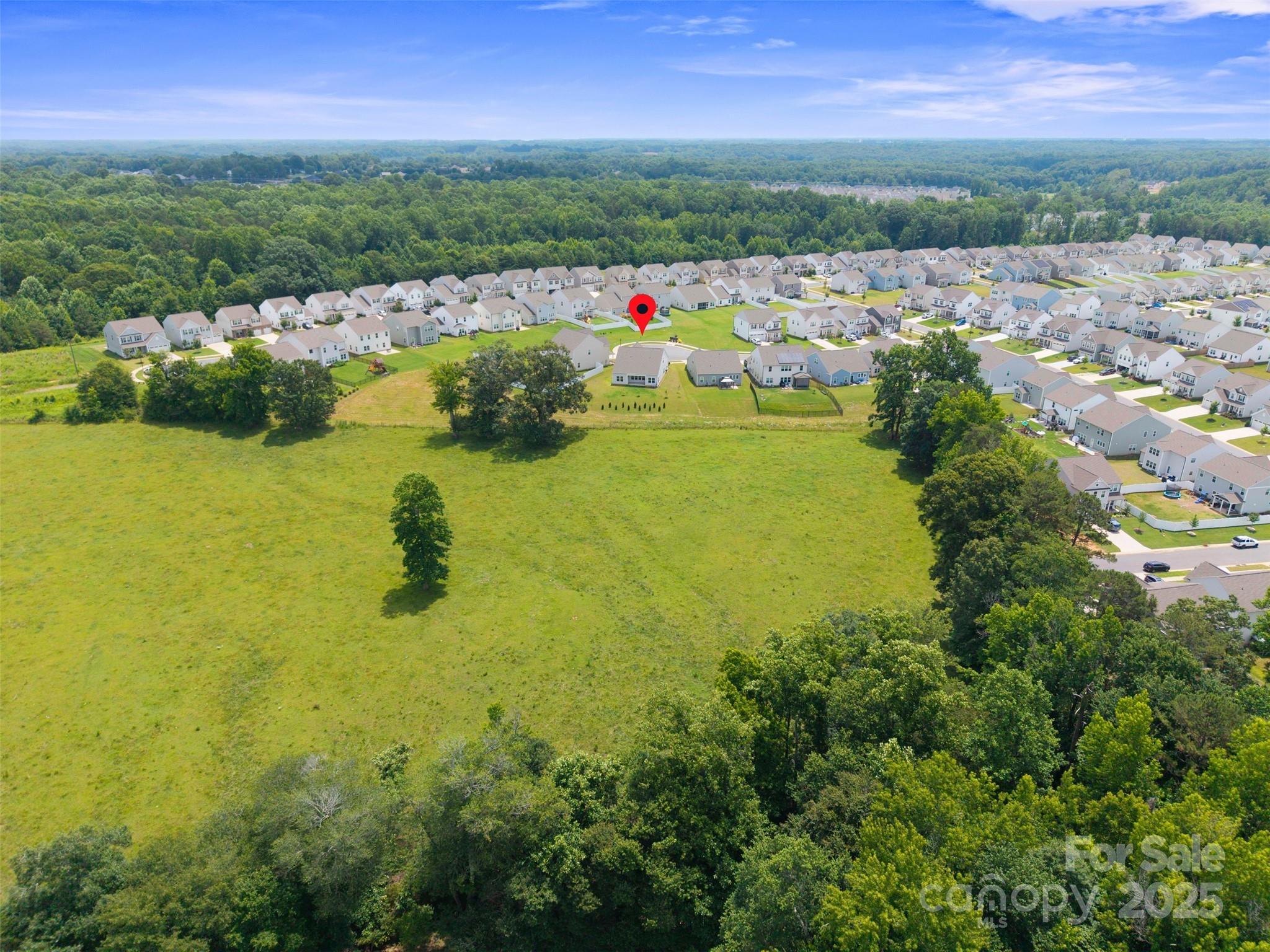 117 Carmine Court