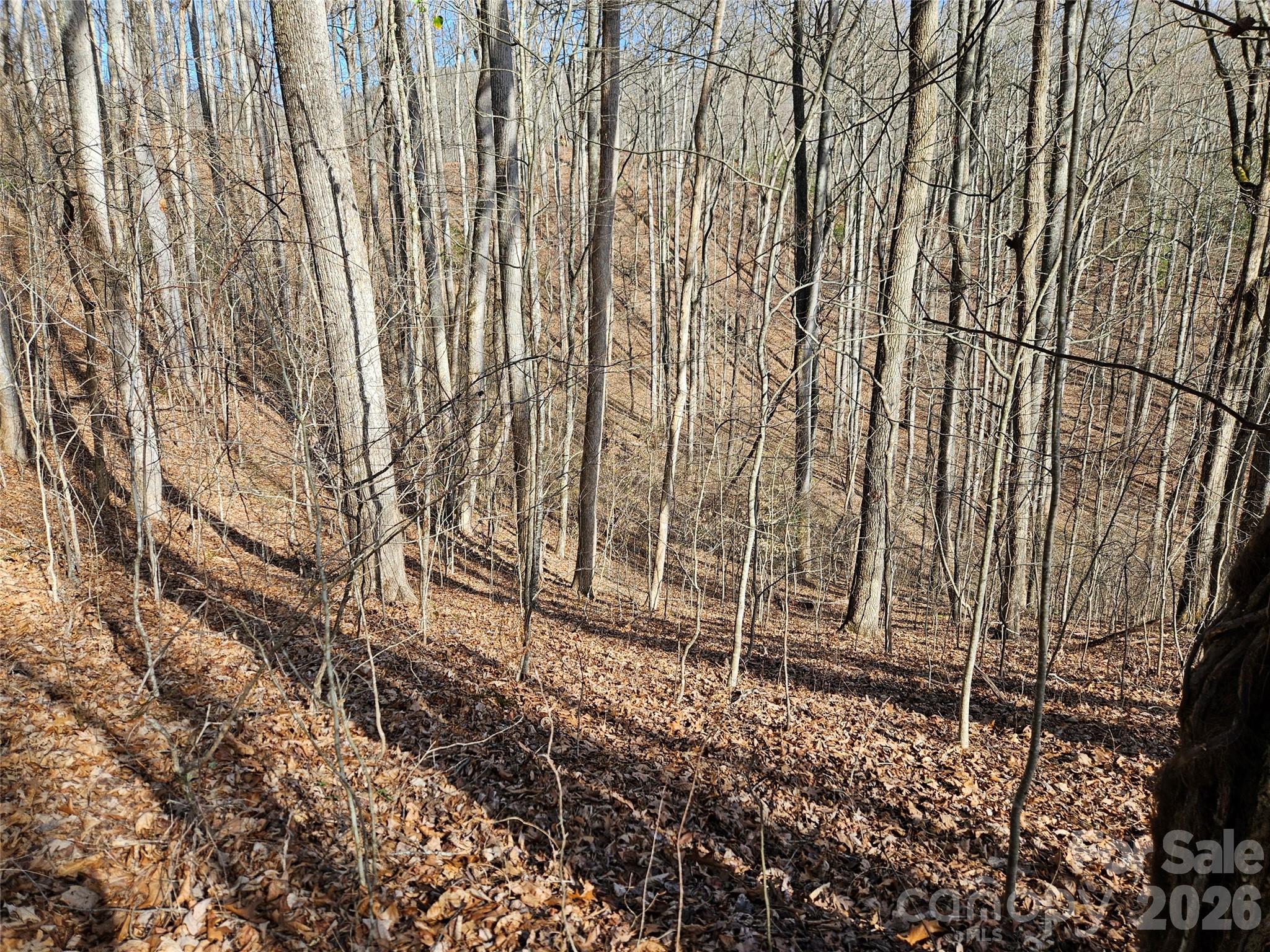 High Mountain - Land