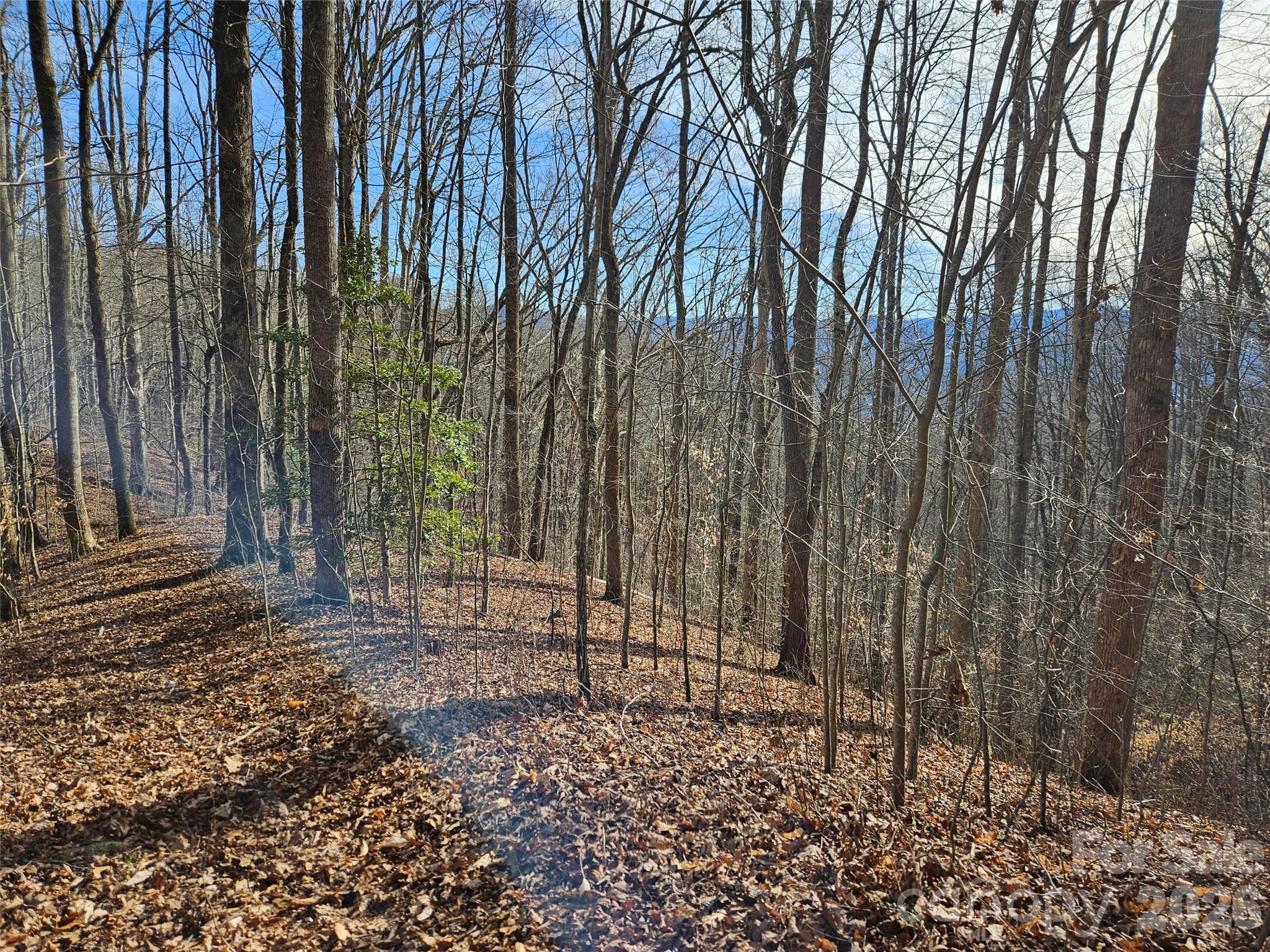 High Mountain - Land