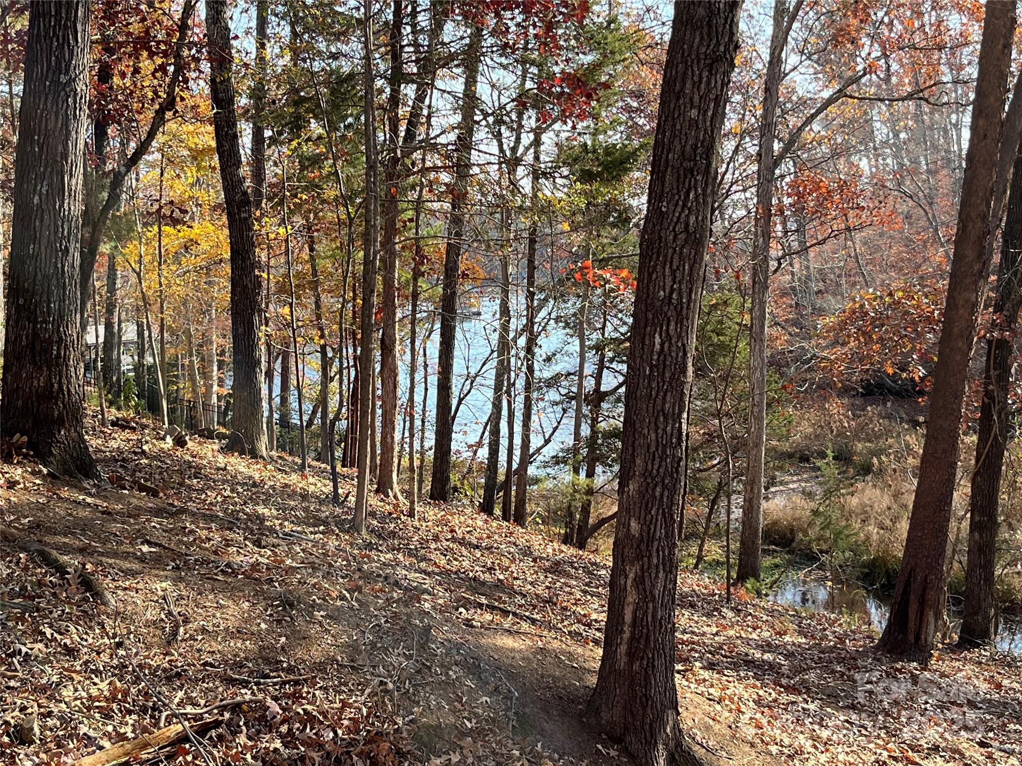 Handsmill On Lake Wylie - Residential