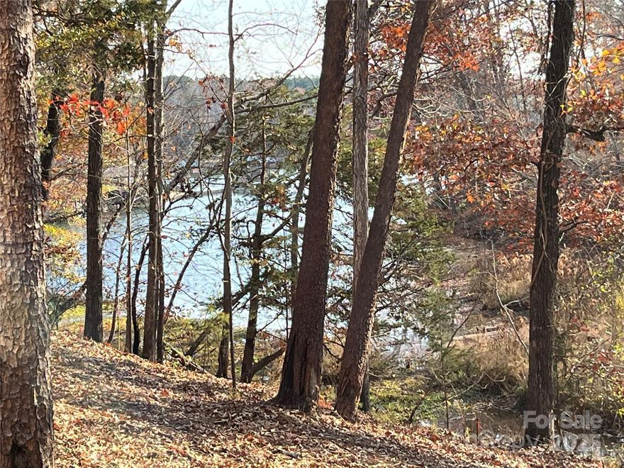 This gorgeous new home is situated on 0.6 acres at the end of a Lake Wylie cove perfect for launching a kayak. The home features 5 bedrooms, 4.5 baths, a spectacular open kitchen, upgraded cabinets and counter tops, large pantry with bar area, heavy trim, a large playroom with media room connected through barn doors, mud room with drop zone, and a covered deck to take in views of beautiful hardwoods and a creek behind the home.  Handsmill on Lake Wylie is one of Lake Wylie's premier gated communities, featuring a quiet atmosphere, a community pool, clubhouse, fitness & recreation areas, walking trails, boat storage & slips for lease. Also, just minutes from top rated Clover schools, restaurants, and shopping. The home will be complete in March of 2026.