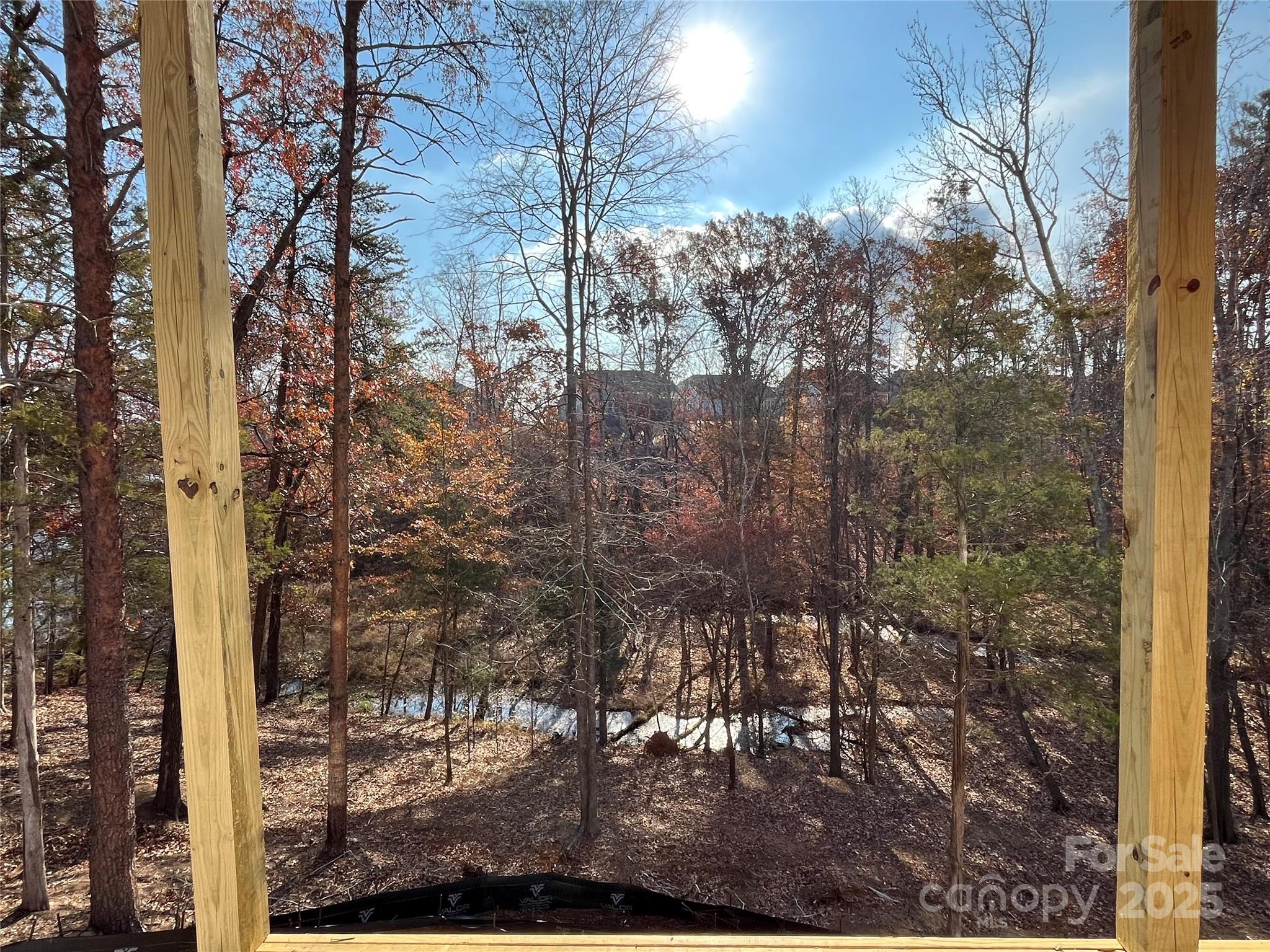 Handsmill On Lake Wylie - Residential