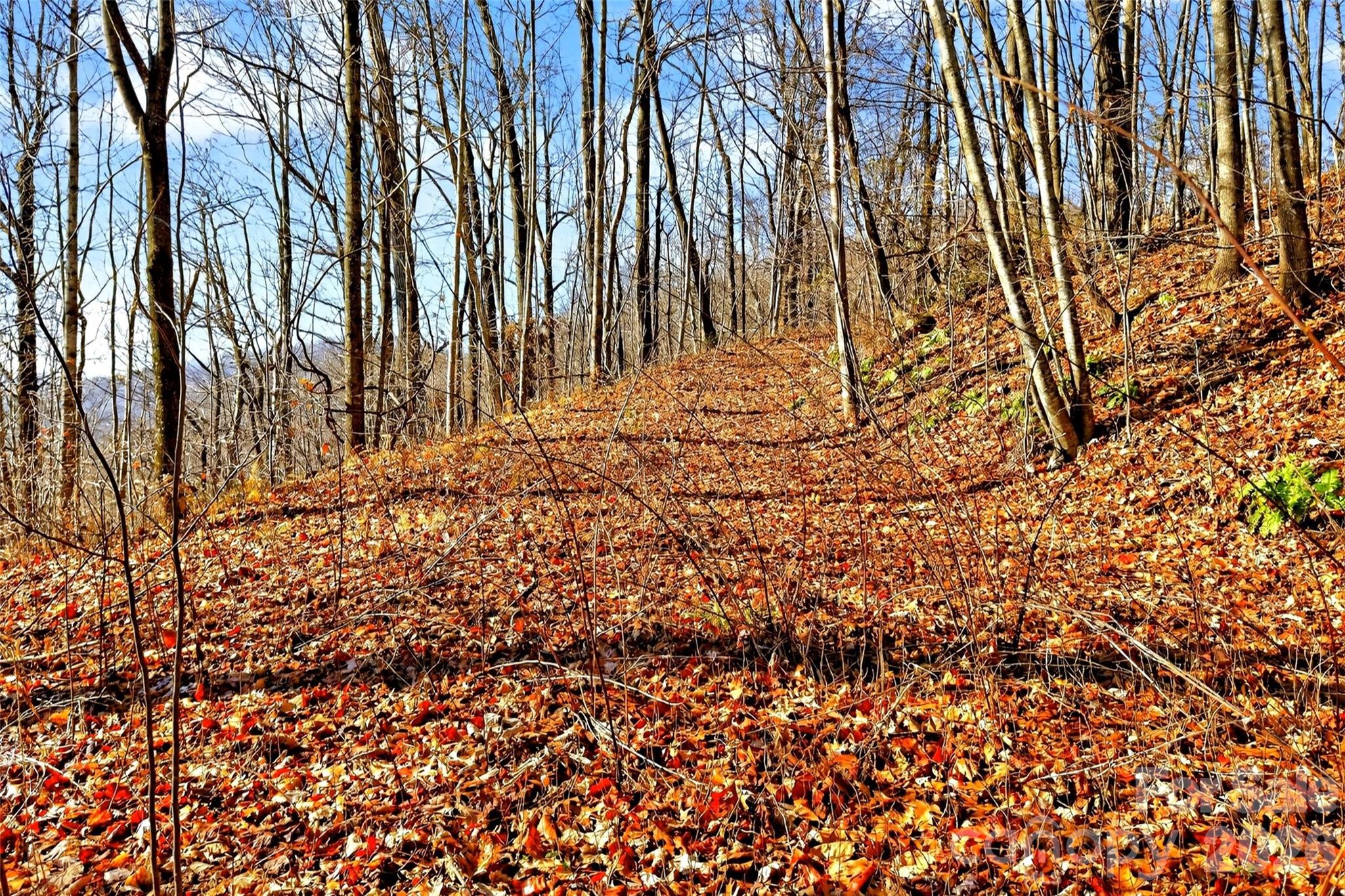 Gateway Mountain - Land