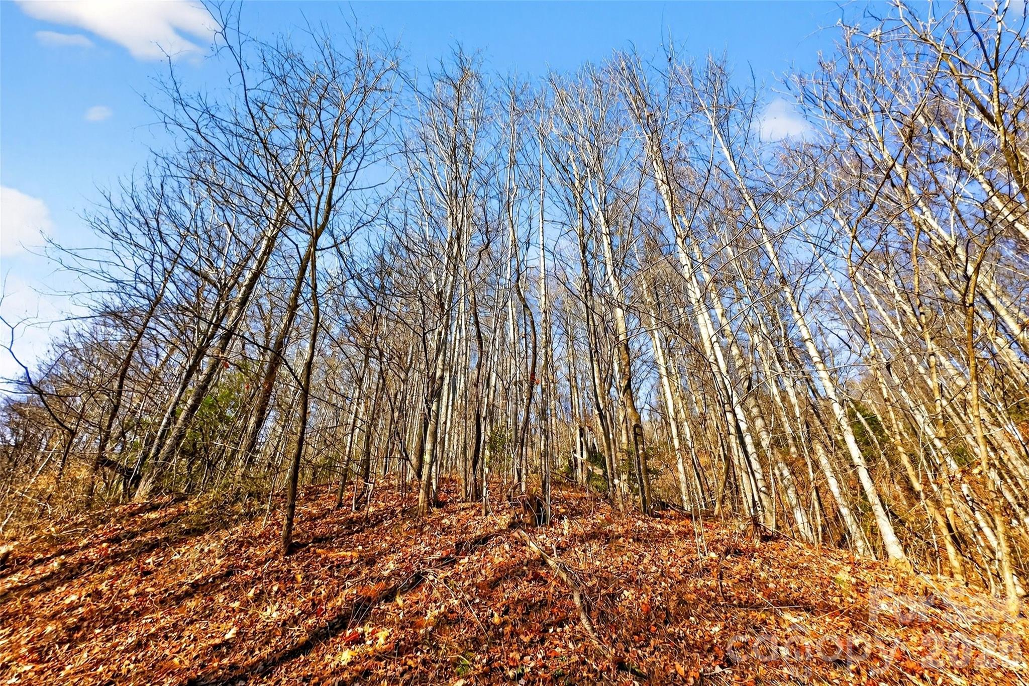 Gateway Mountain - Land