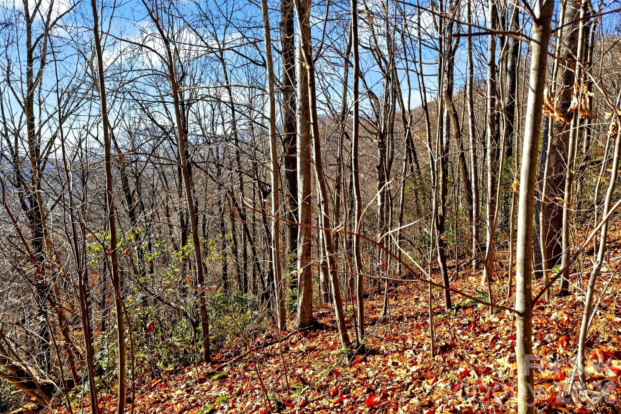 Gateway Mountain - Land