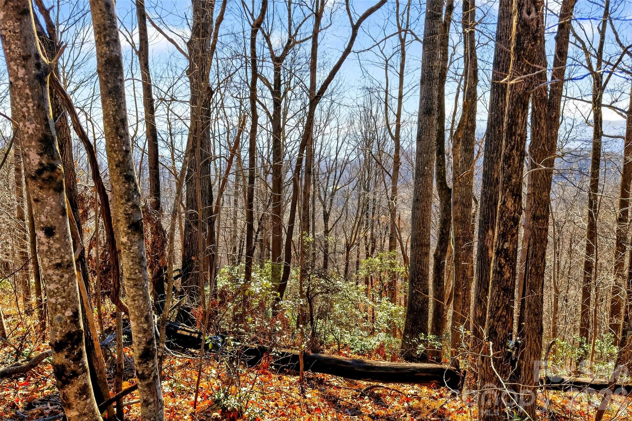 Gateway Mountain - Land