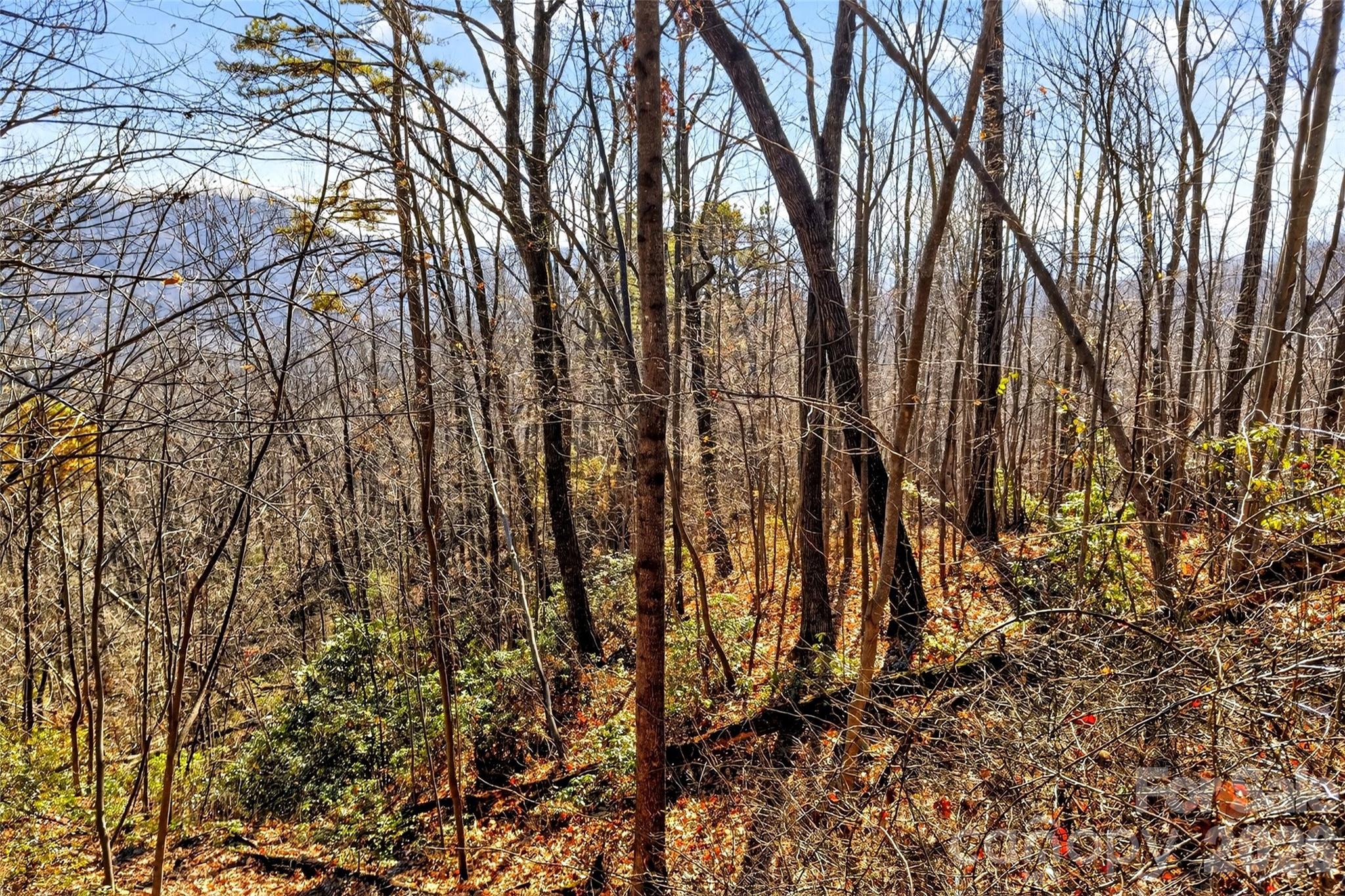 Gateway Mountain - Land