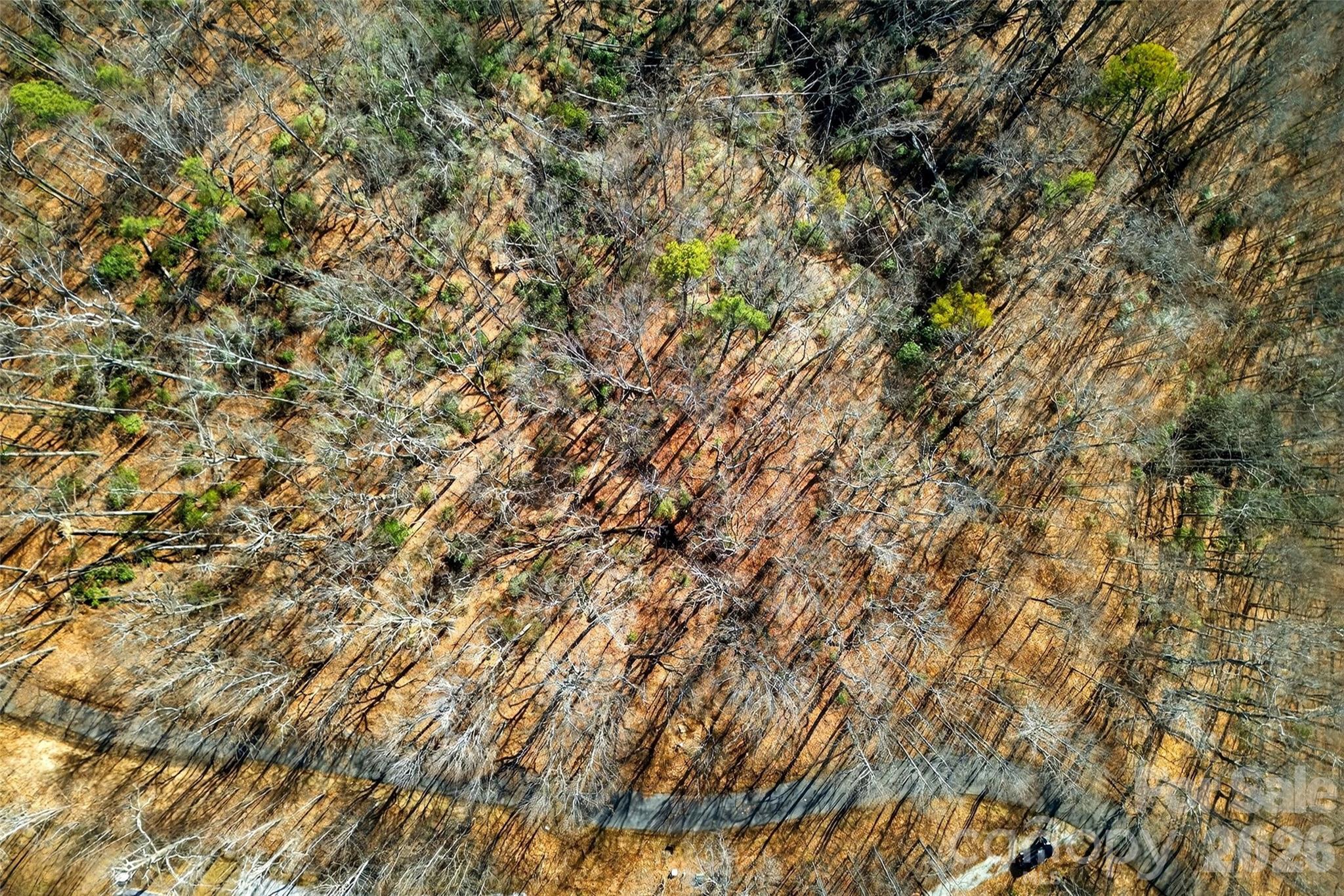 Gateway Mountain - Land