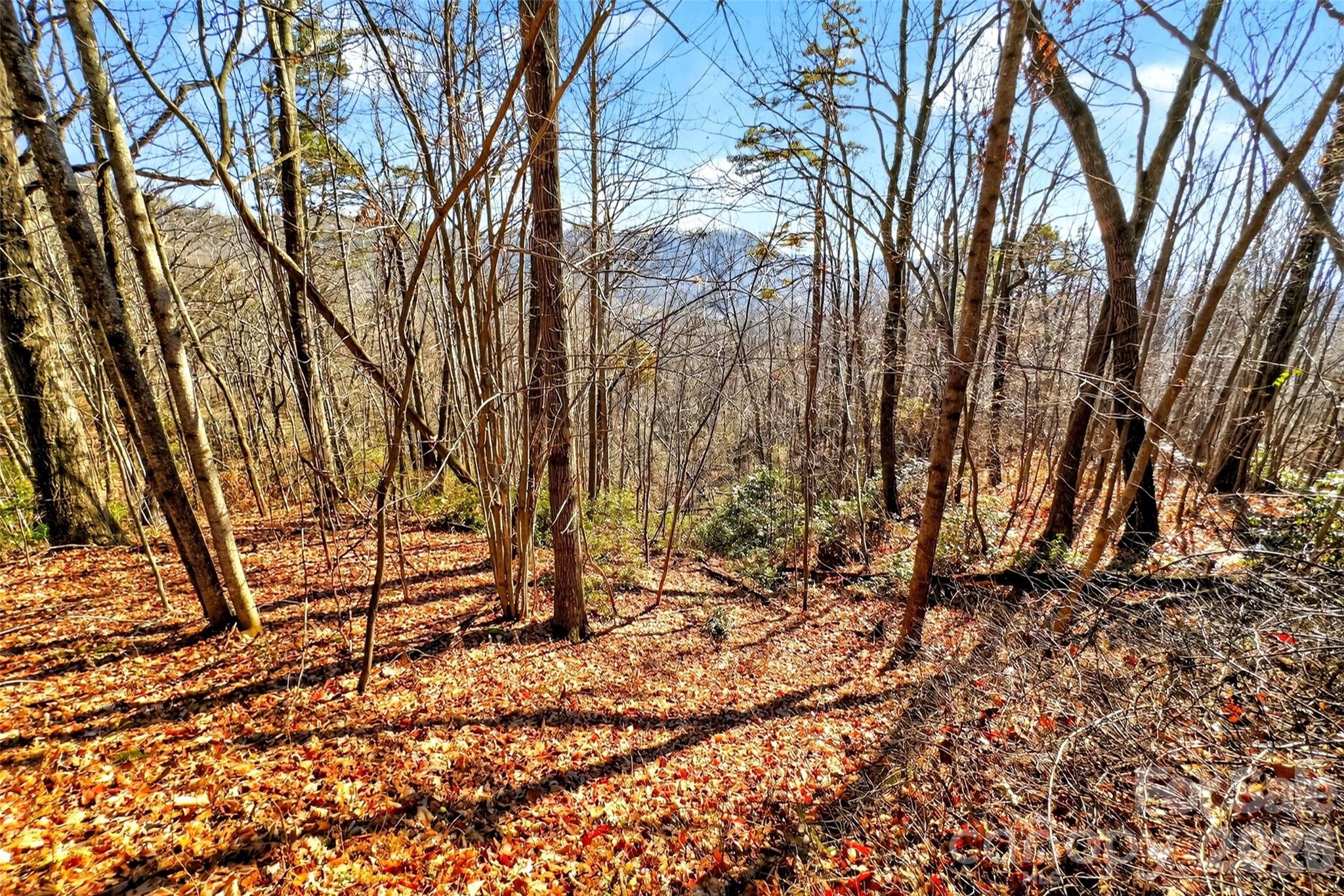 Gateway Mountain - Land