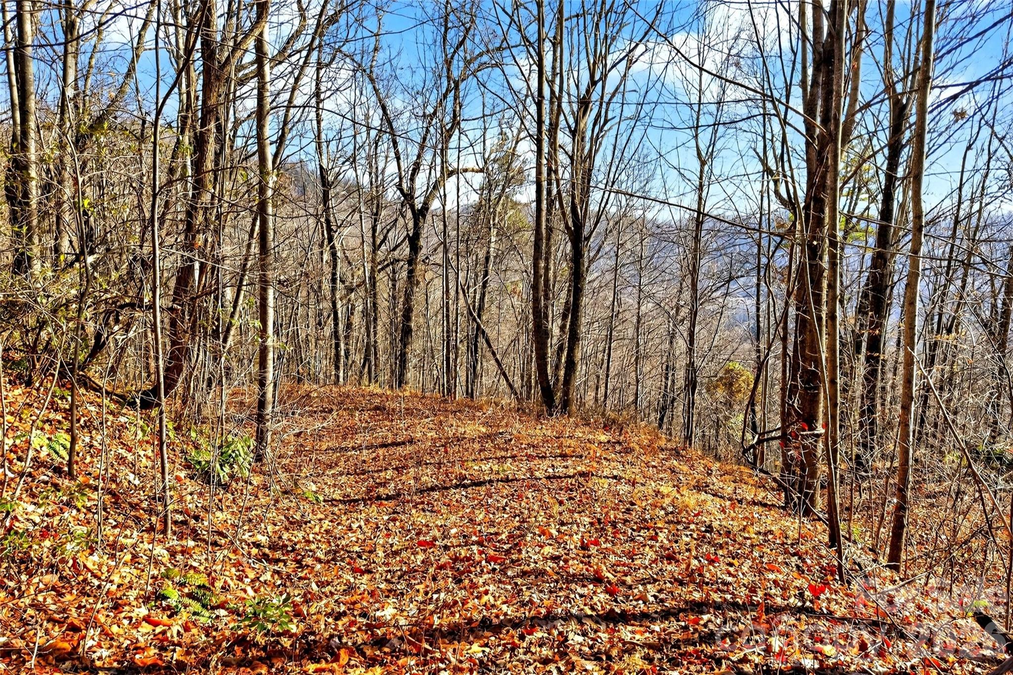 Gateway Mountain - Land