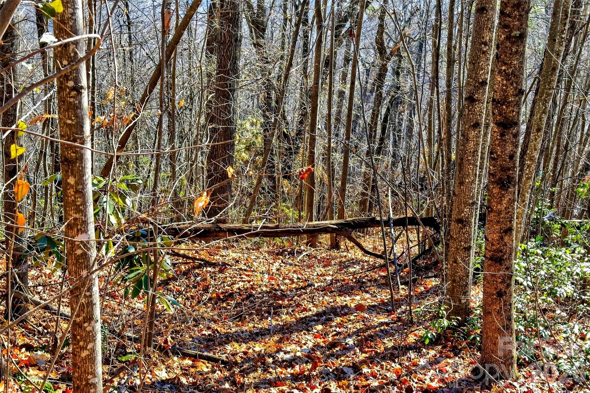 Gateway Mountain - Land