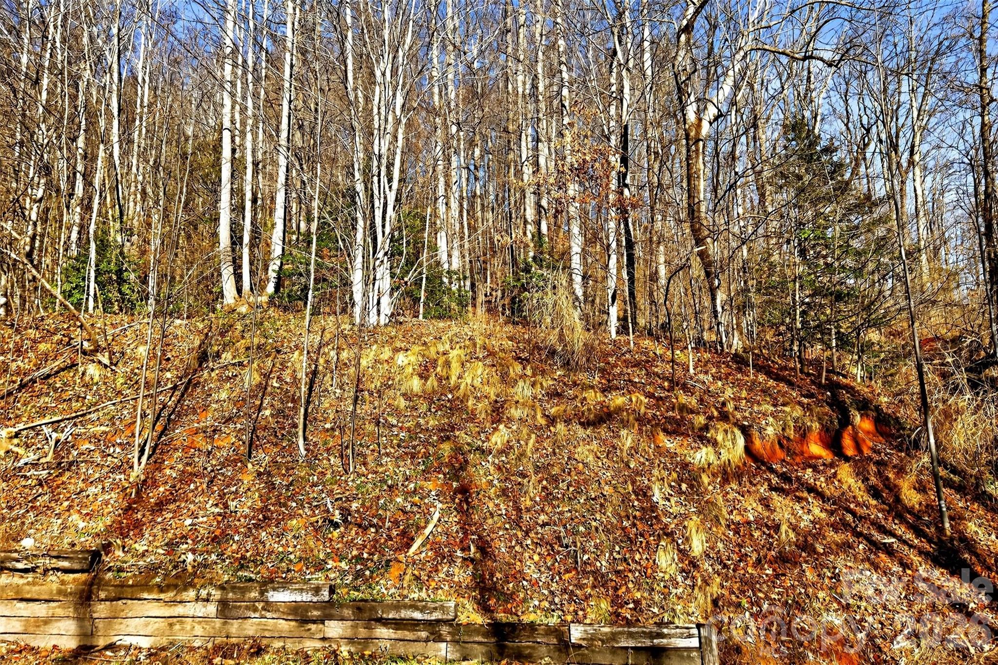 Gateway Mountain - Land