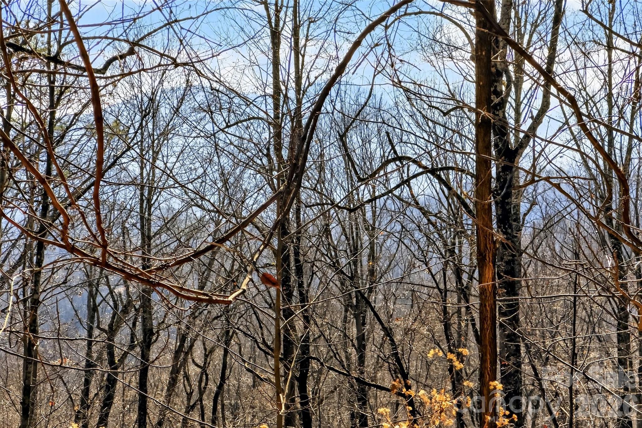 Gateway Mountain - Land