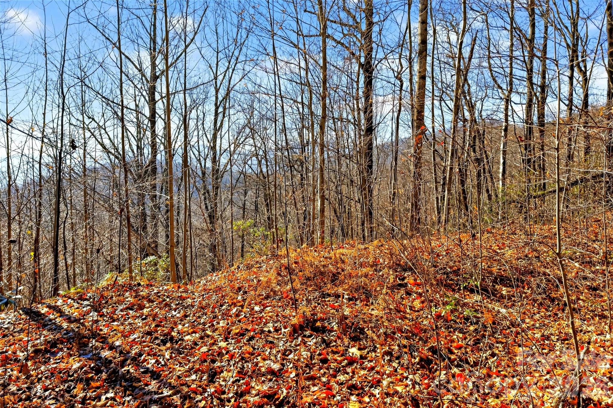 Gateway Mountain - Land