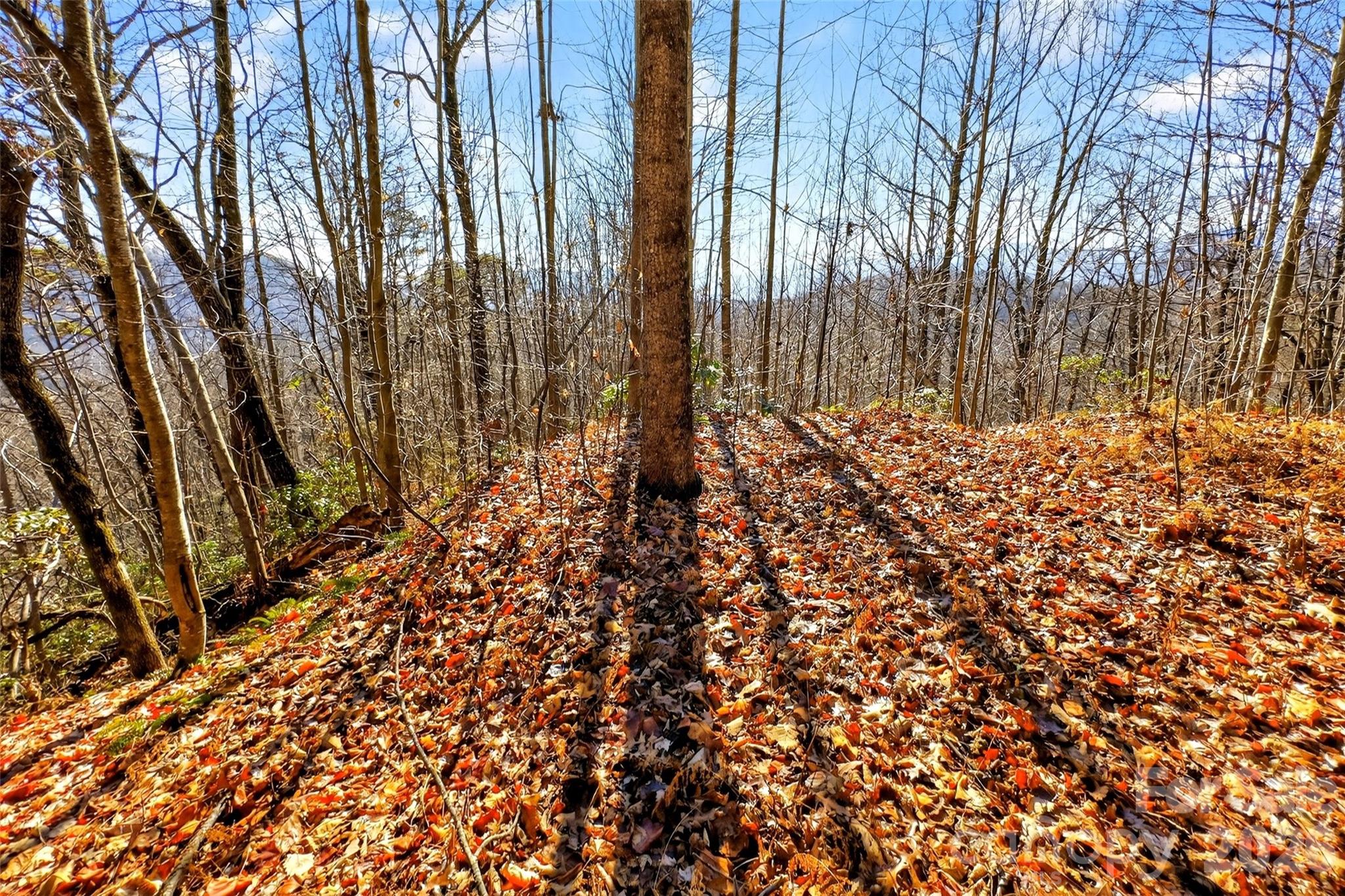 Gateway Mountain - Land