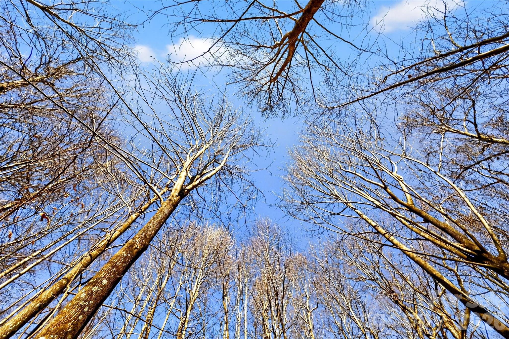 Gateway Mountain - Land