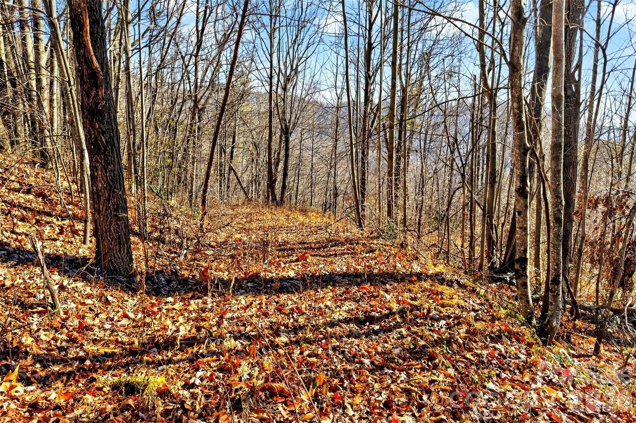 Gateway Mountain - Land