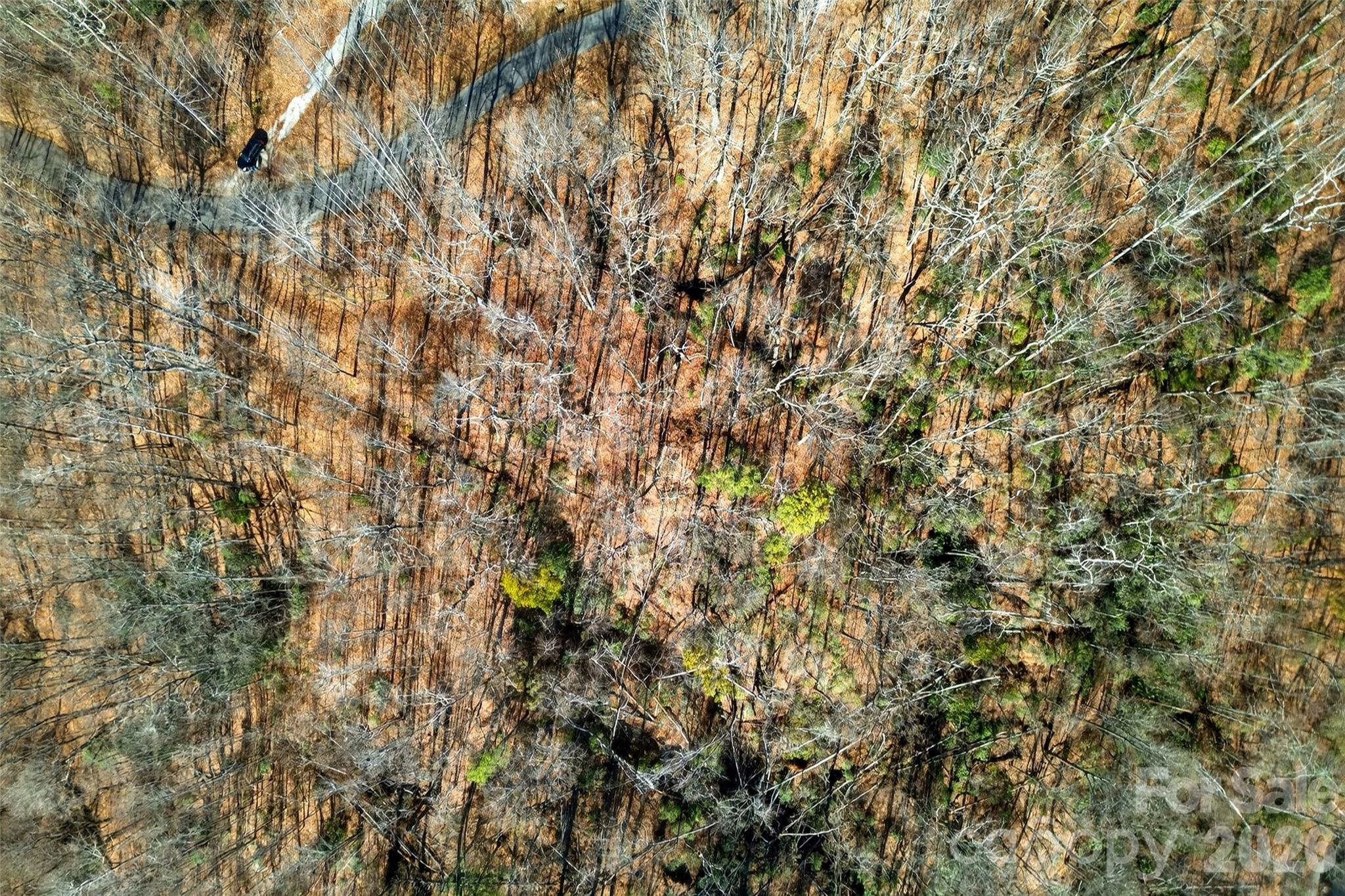 Gateway Mountain - Land