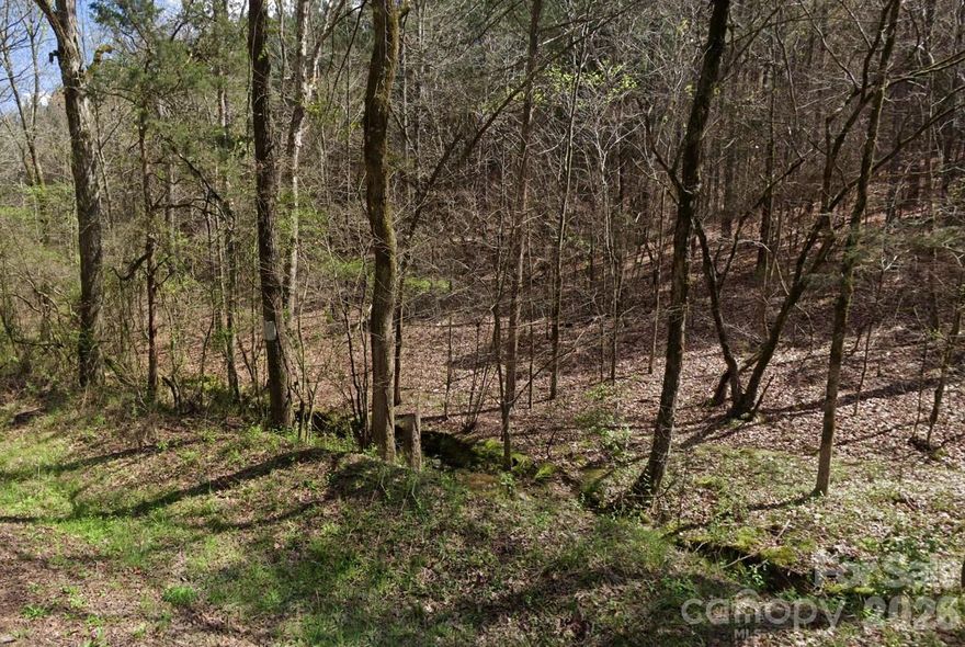 Located in Polkton, North Carolina, this 35.91-acre property offers a fully forested setting with plenty of space to spread out, along with a shed already on site. The land is ideal for those who enjoy privacy, nature, and outdoor living, with nearby spots like Pee Dee National Wildlife Refuge providing opportunities for hiking, hunting, and wildlife viewing. You’ll get the quiet of rural life while still being within driving distance of Charlotte, North Carolina for major shopping, dining, and entertainment. It’s a great mix of seclusion and convenience in a laid-back North Carolina setting. Priced below market value, this is easily one of the best deals on the market.