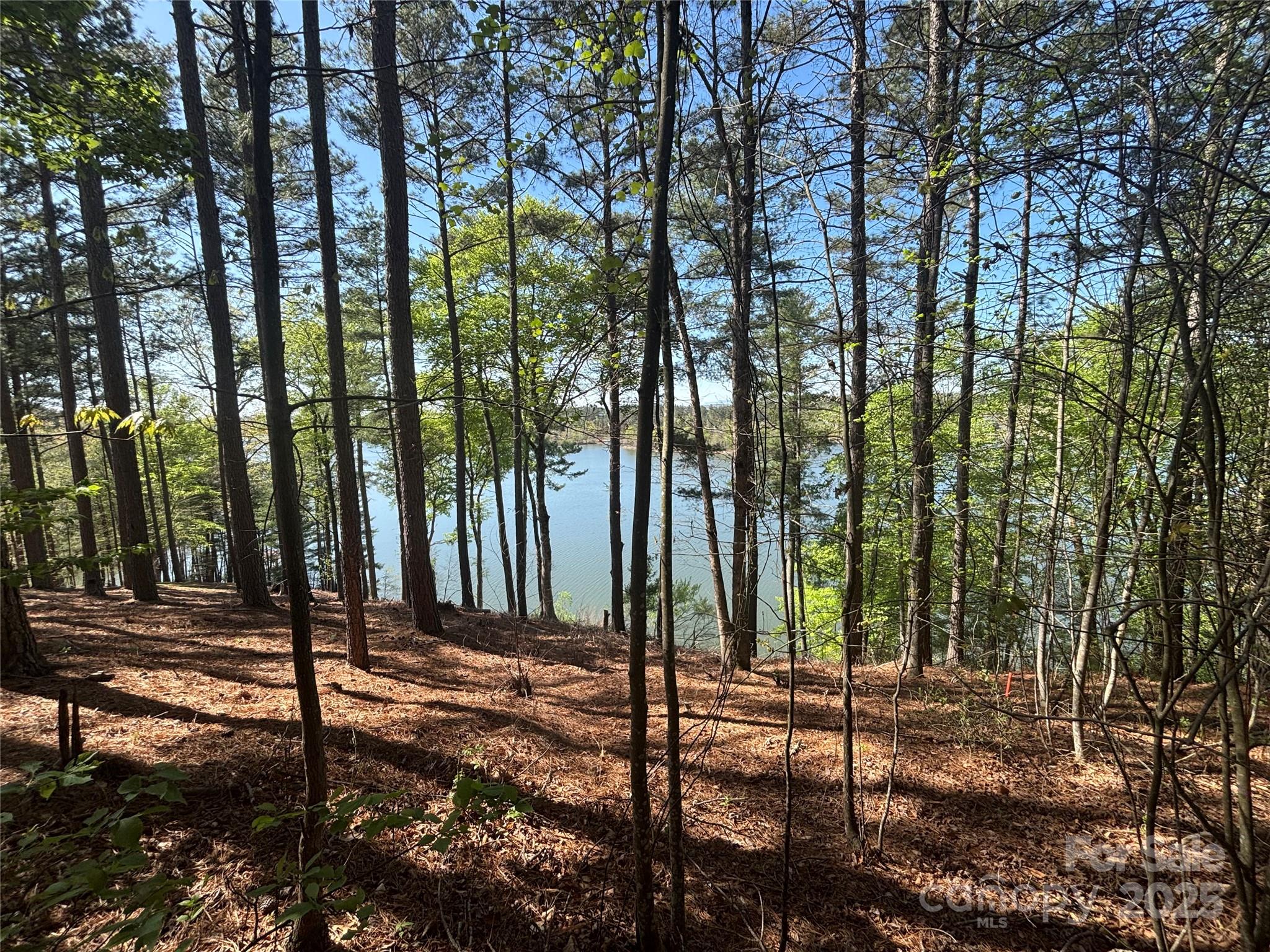1036 Tranquil Cove Court 26