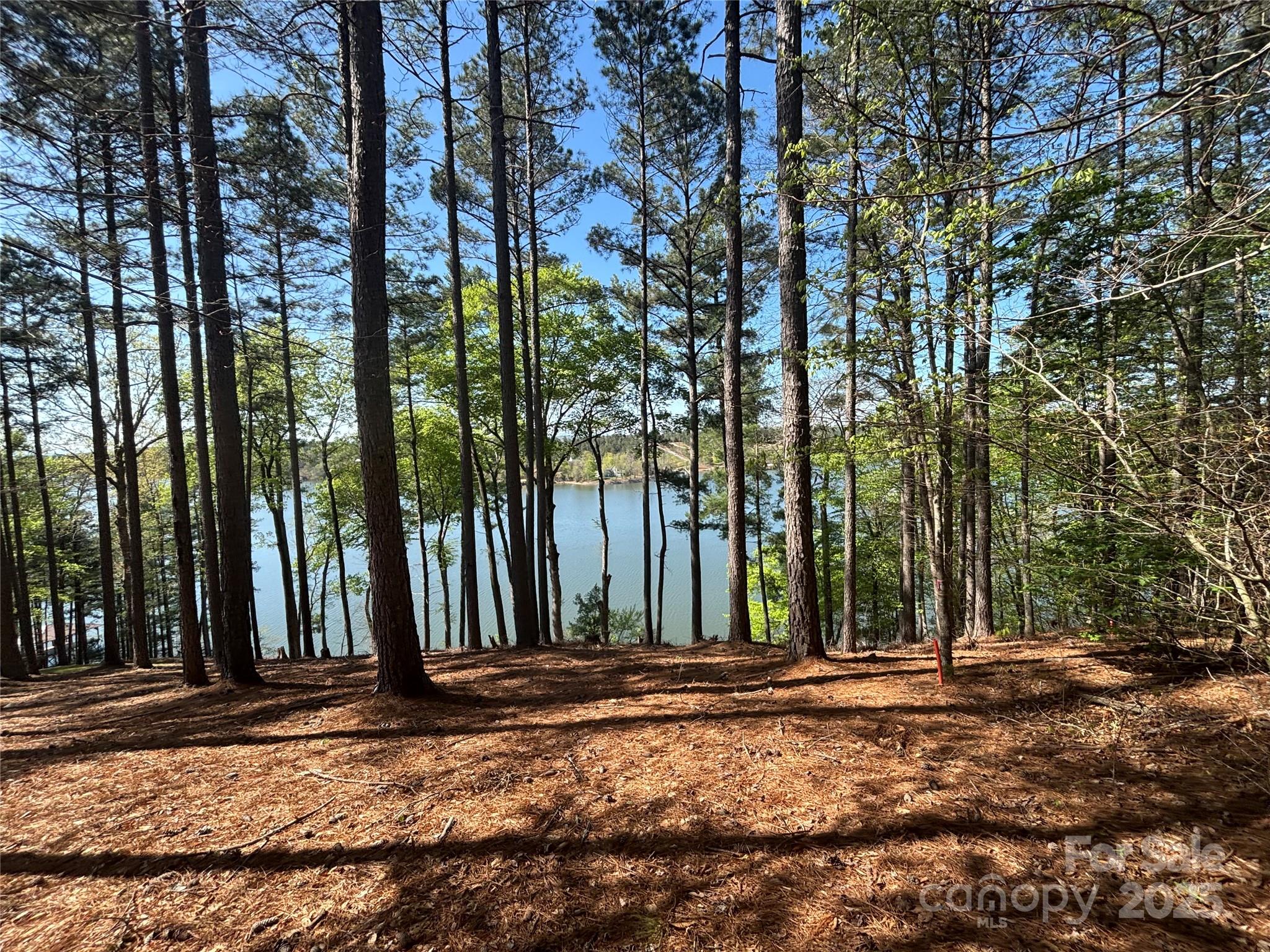 1036 Tranquil Cove Court 26
