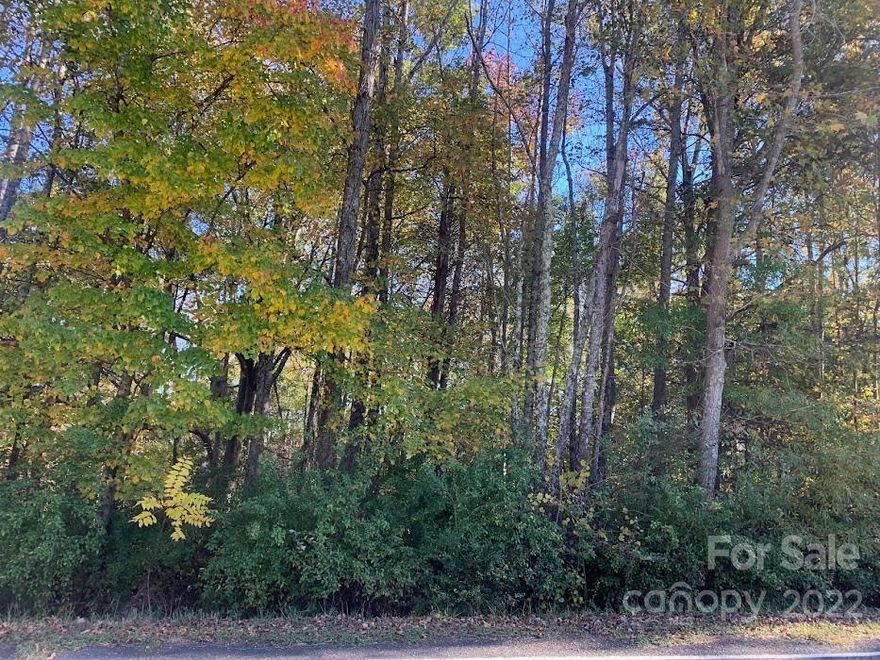 1.24 acre wooded lot located between 121 Quietwood Lane and 1081 Lester Road.