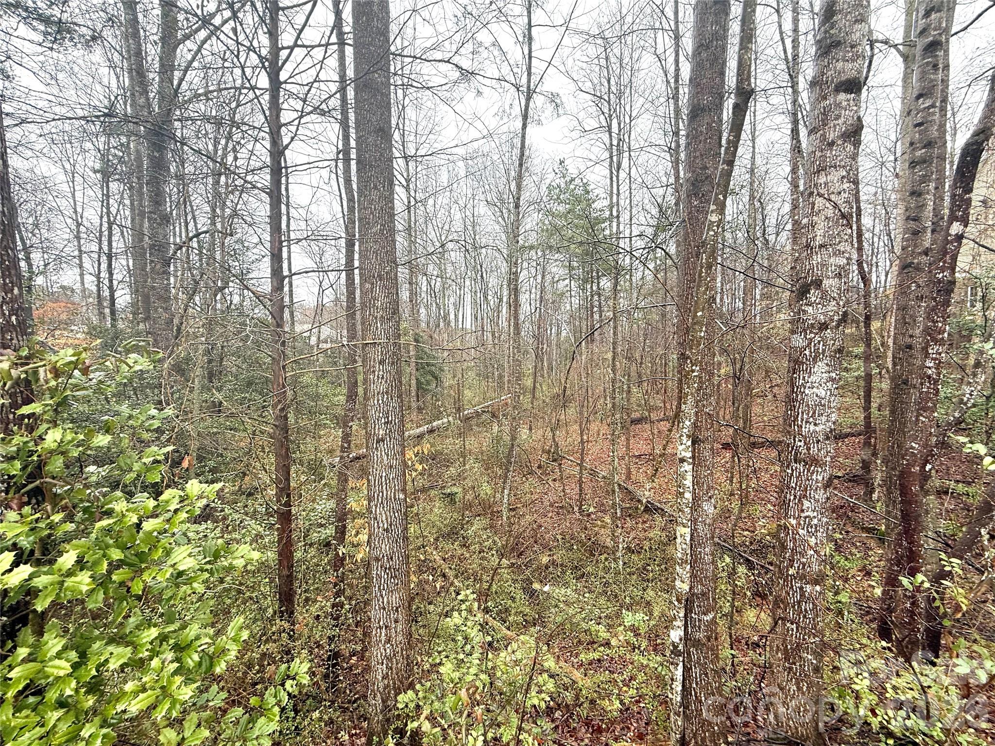 Catawba Springs - Land