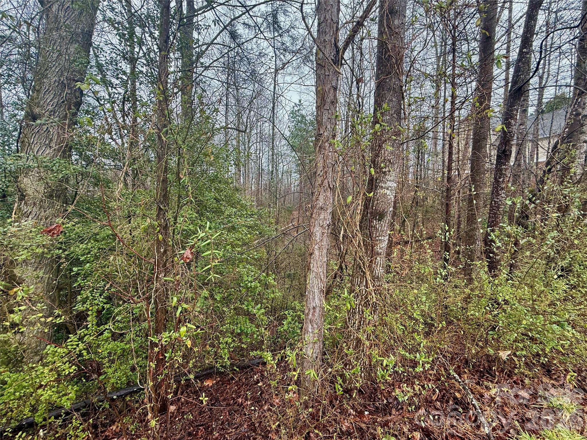 Catawba Springs - Land