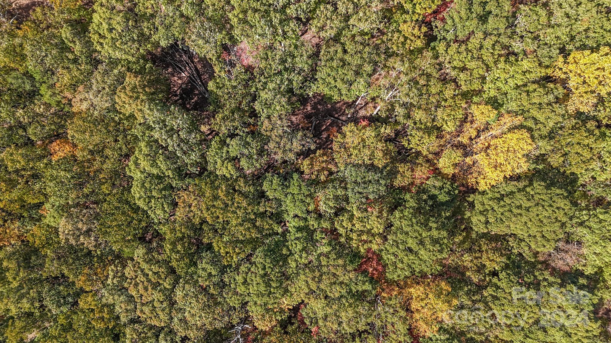 The Springs At High Rock - Land