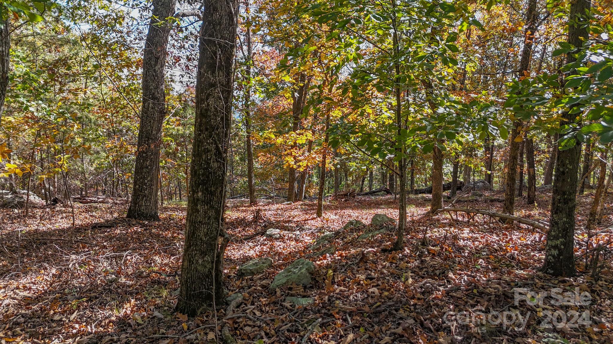 The Springs At High Rock - Land