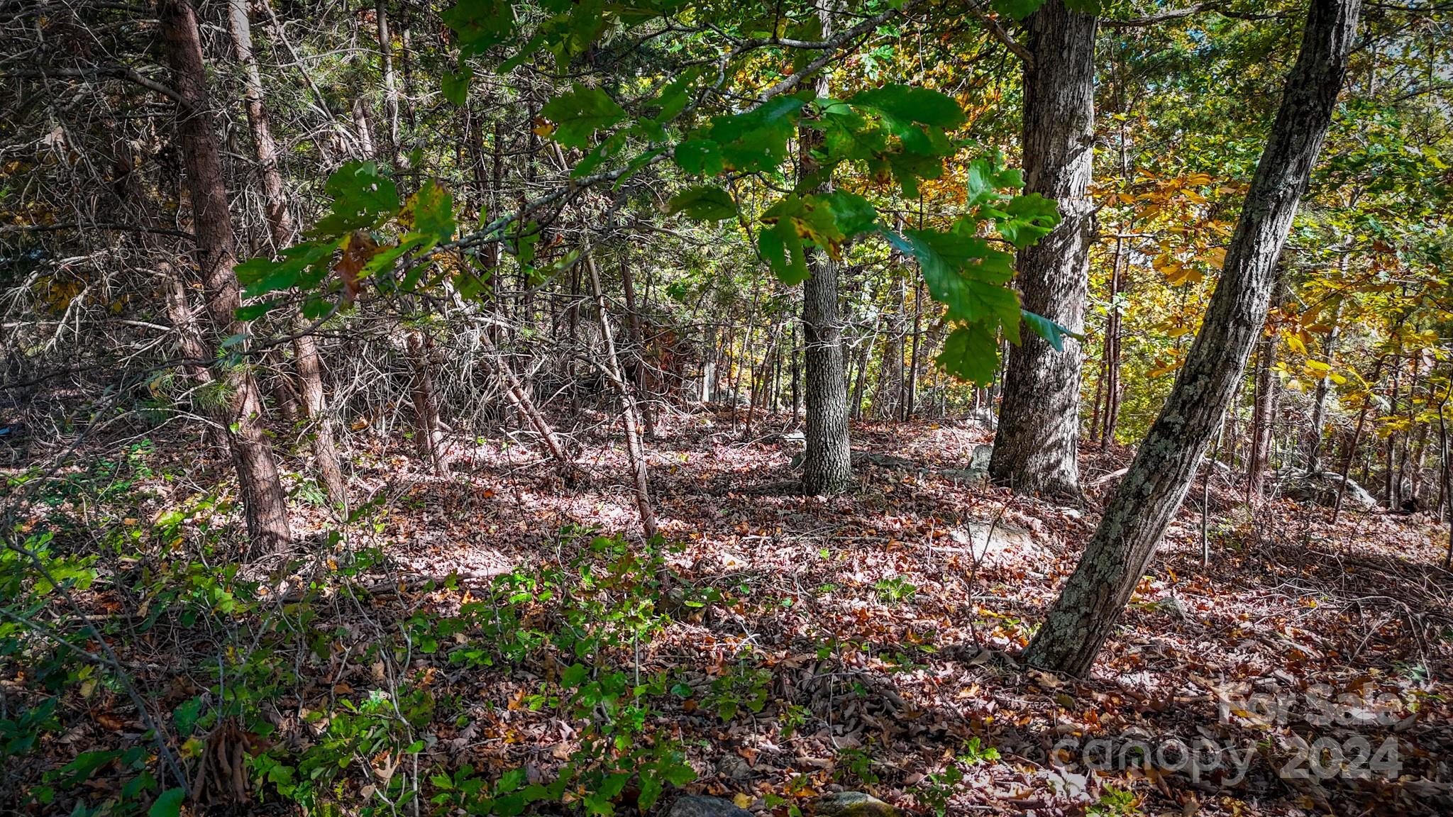 The Springs At High Rock - Land