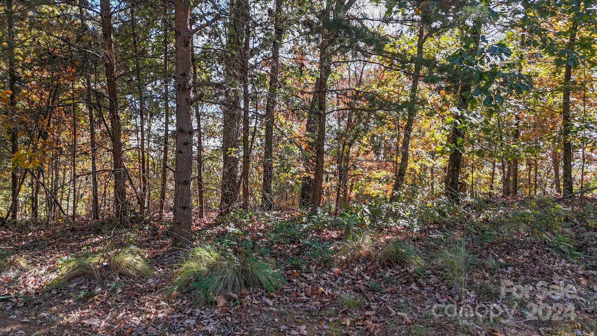 The Springs At High Rock - Land