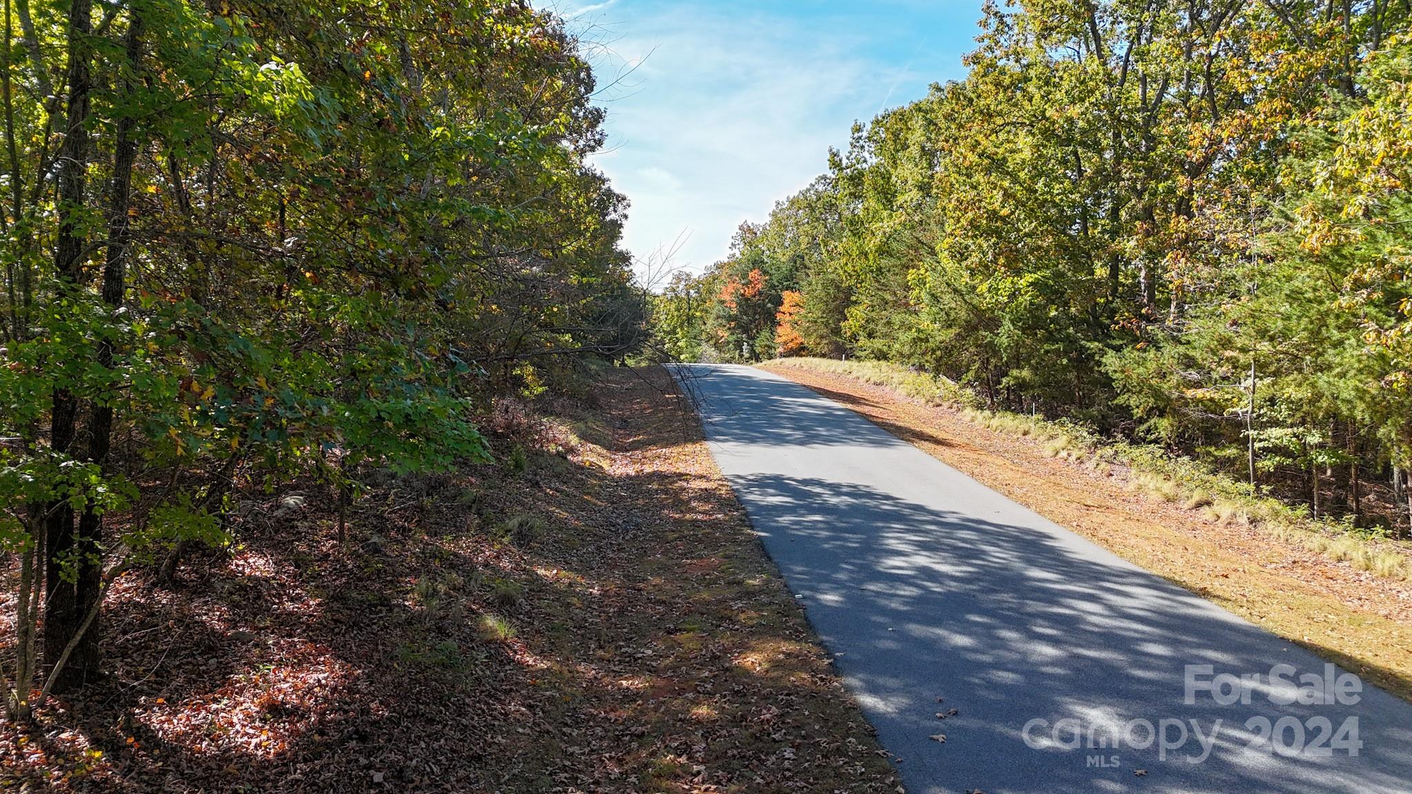 The Springs At High Rock - Land