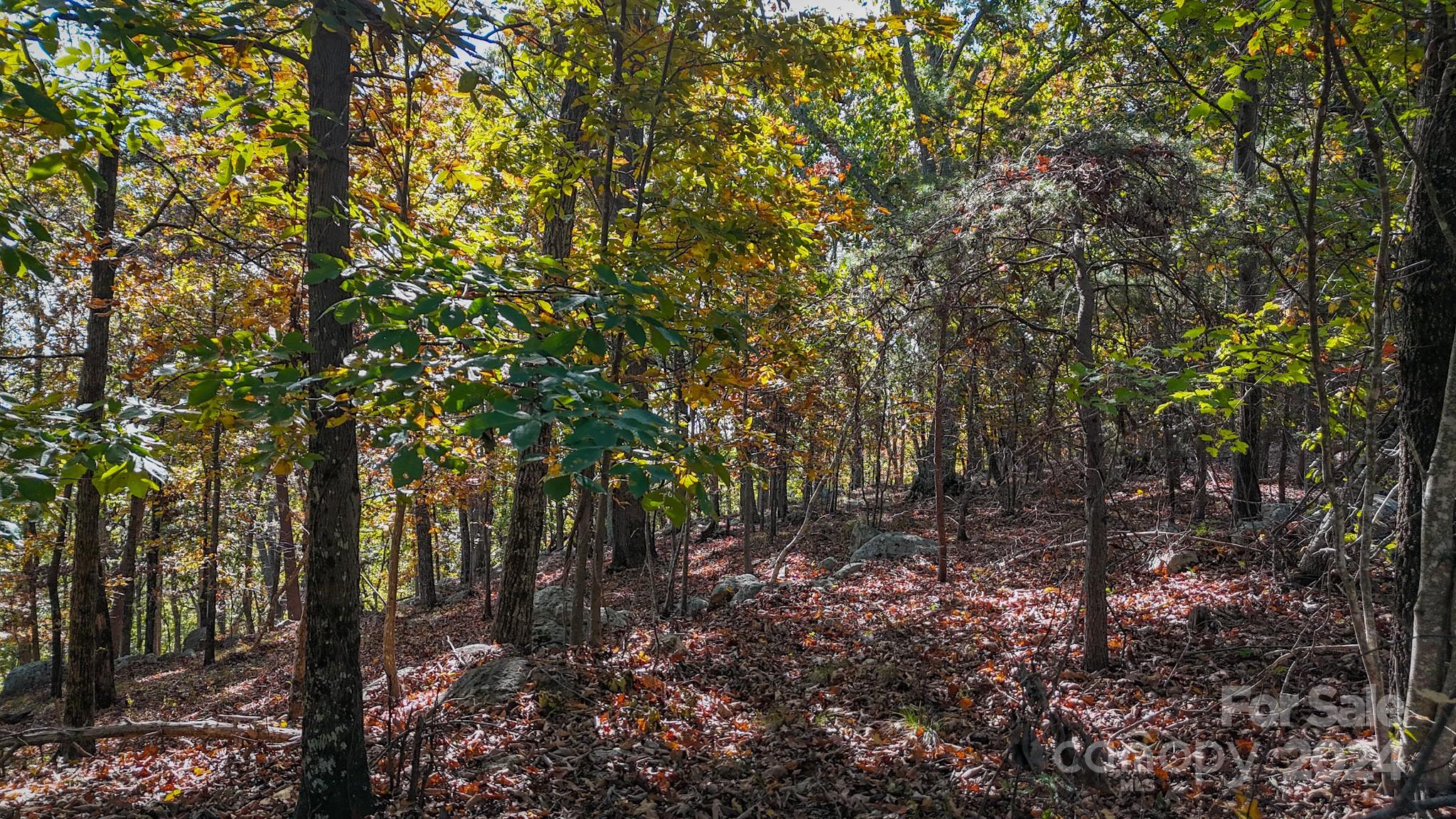 The Springs At High Rock - Land