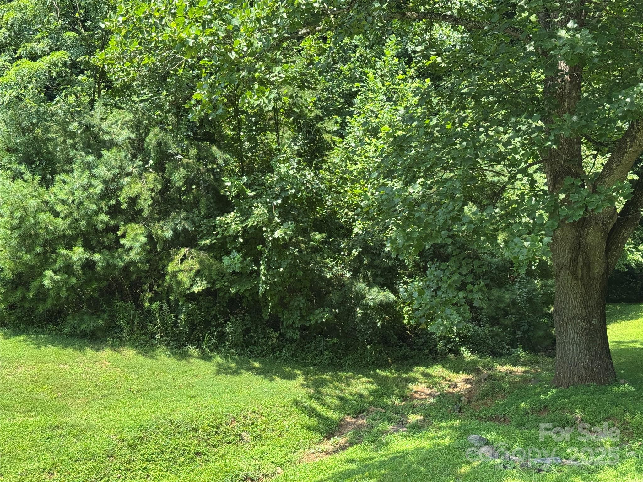 3 Mountain Magnolia Drive