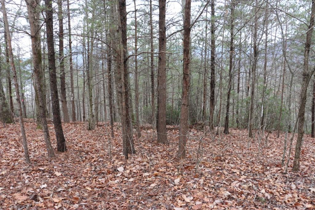 Shumont Estates - Land