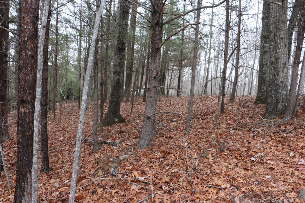 Shumont Estates - Land