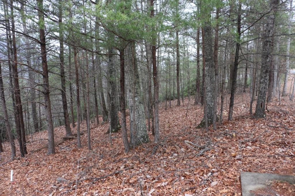 Shumont Estates - Land