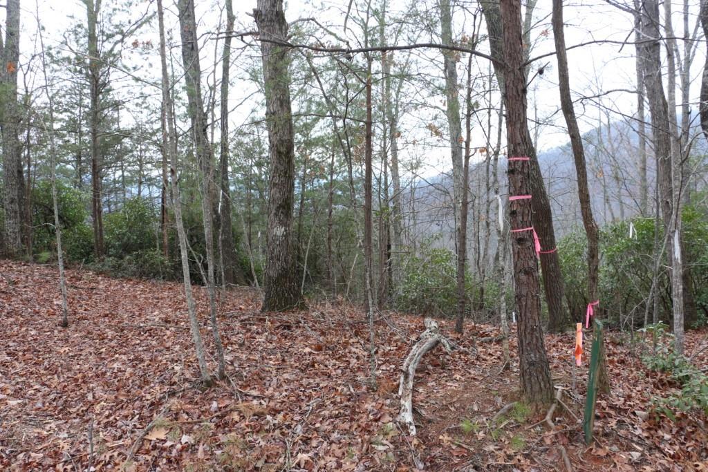 Shumont Estates - Land