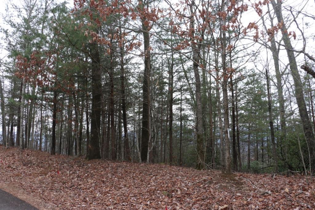 Shumont Estates - Land