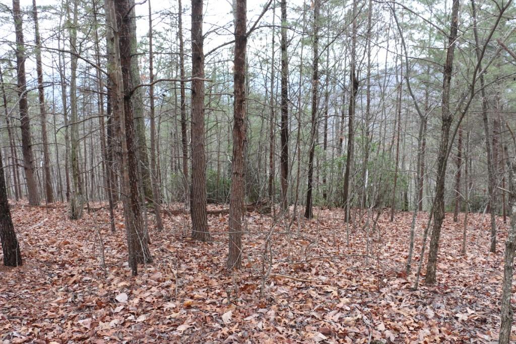 Shumont Estates - Land