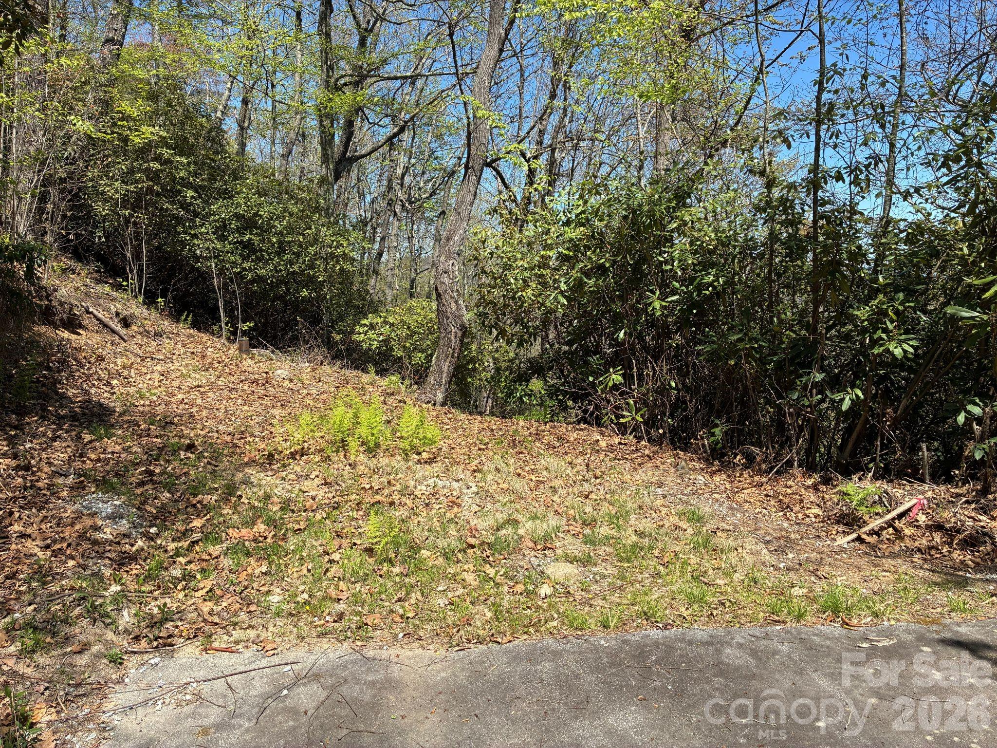 P 2 L020RV Toxaway Cliff