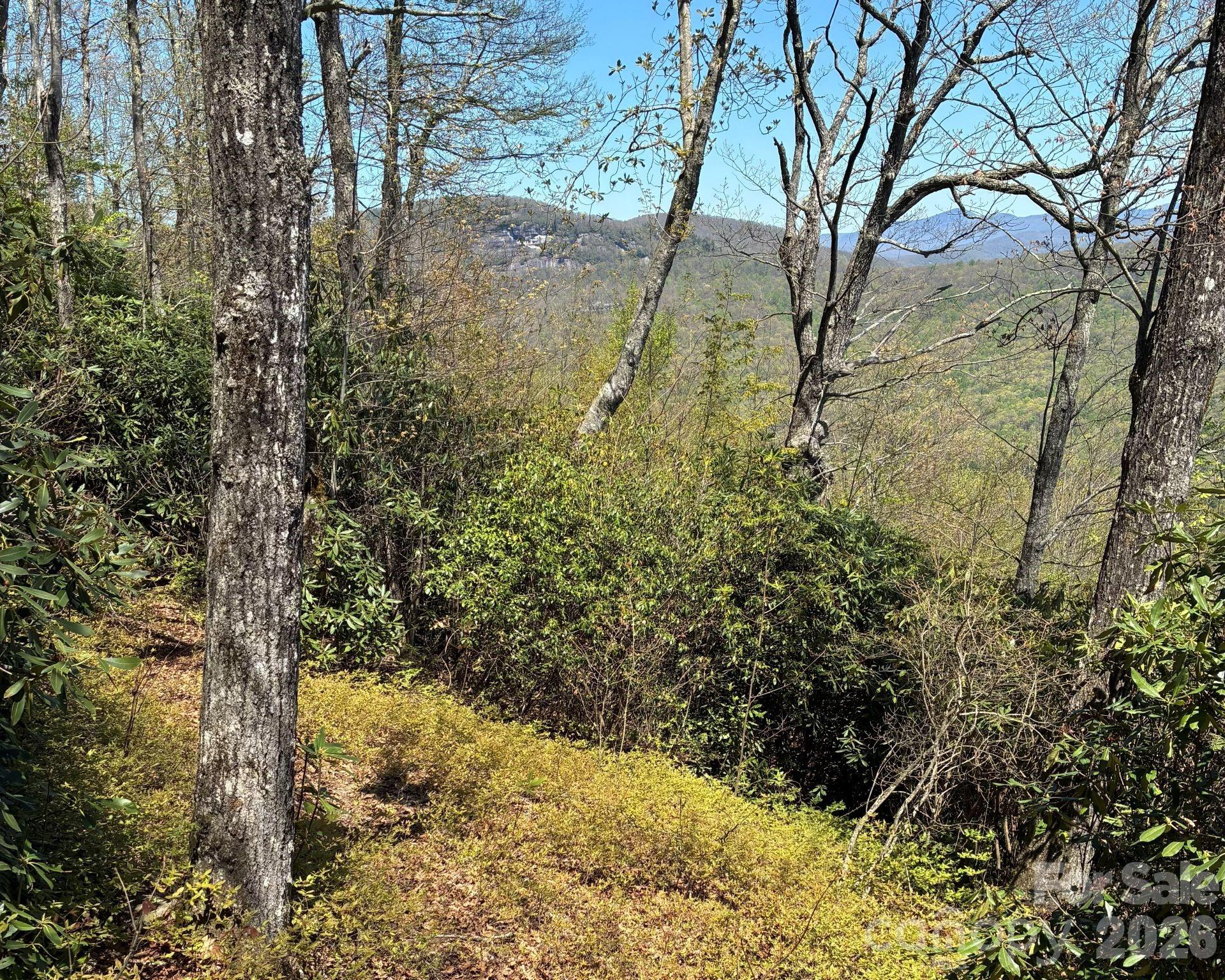 P 2 L020RV Toxaway Cliff