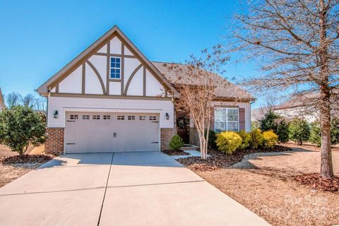 Photo of 14212 Tudor Rose Lane, Charlotte, NC 28278 (MLS # 4225754)
