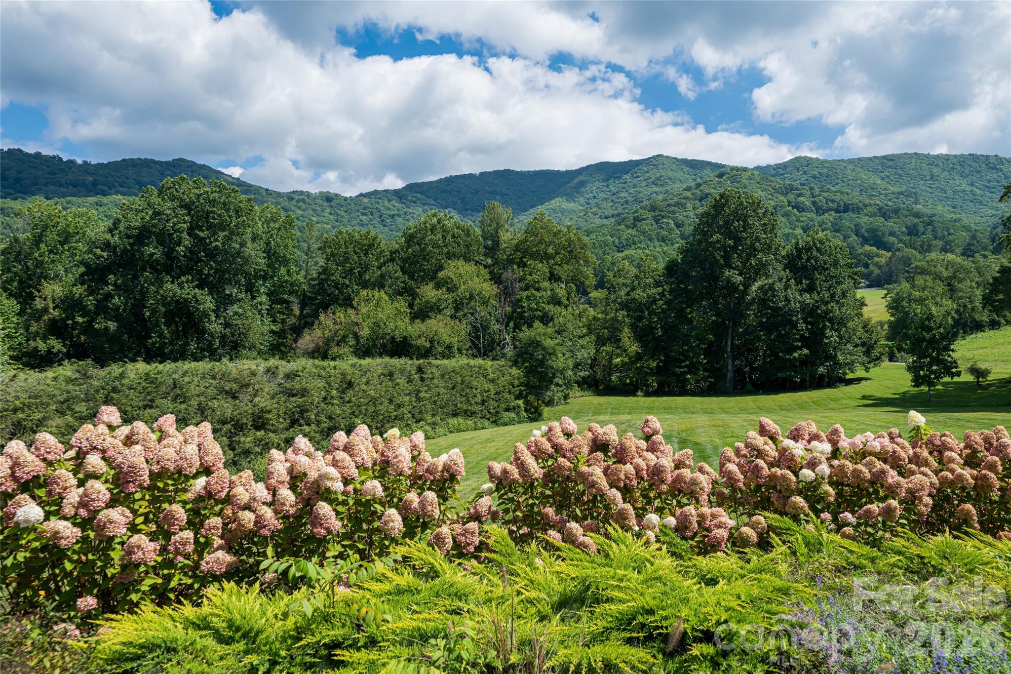 Laurel Ridge Farms - Residential