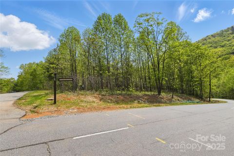 Lot 2049 Deep Gap Farm Road W 2049 Mill Spring NC 28756