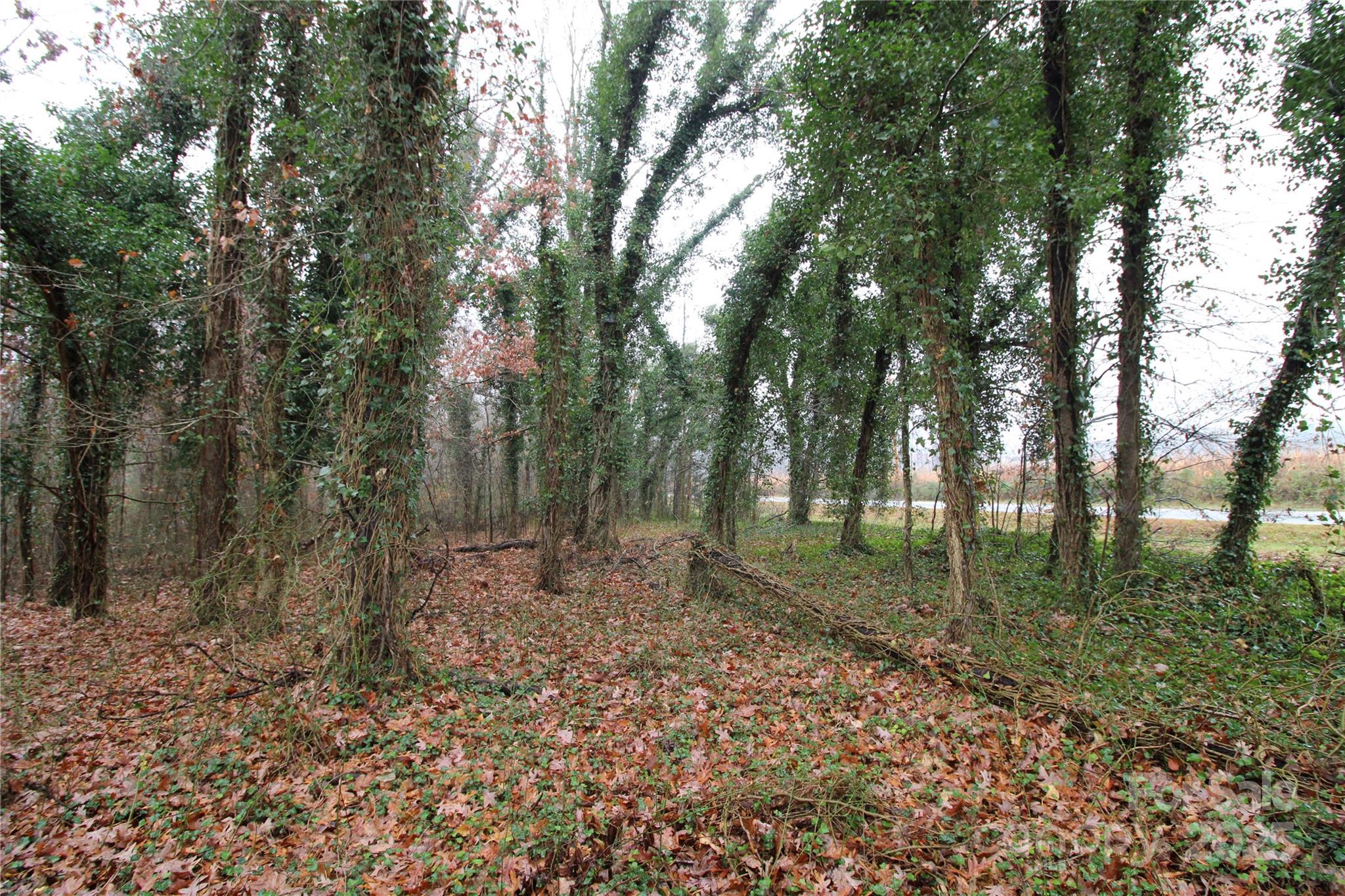 3+/-AC LOT 8 Eaker Road