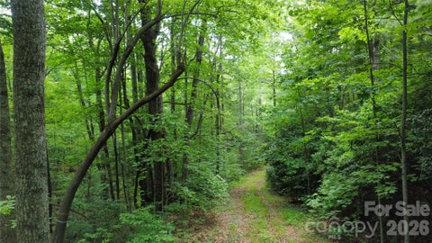 Photo of 9999 North Pointe Drive #70, Zirconia, NC 28790 (MLS # 4399369)
