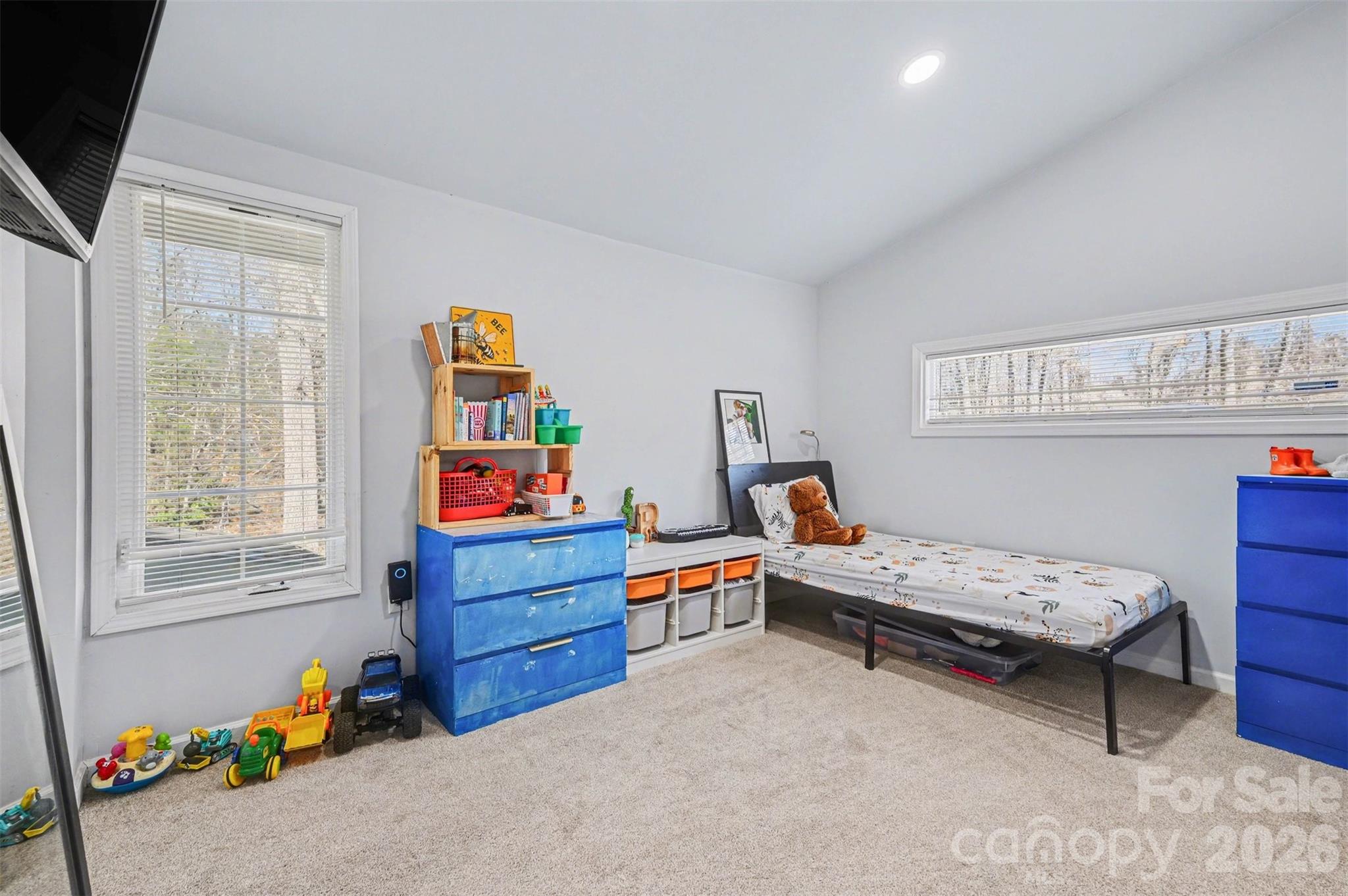 Lake Wylie - Residential