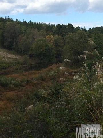 Paradise Harbor - Land